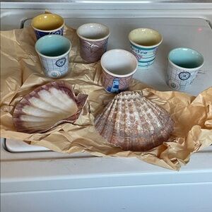 Colorful Ceramic Cups and Seashells Set